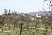 novolesita